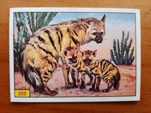 Figurine Panini Mammals Sticker #309 (1978)