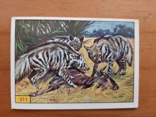 Figurine Panini Mammals Sticker #311 (1978)