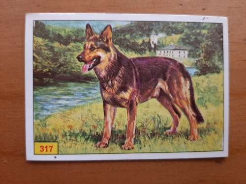 Figurine Panini Mammals Sticker #317 (1978)