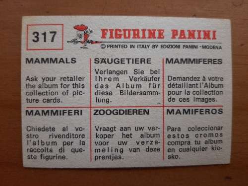 Figurine Panini Mammals Sticker #317 (1978)