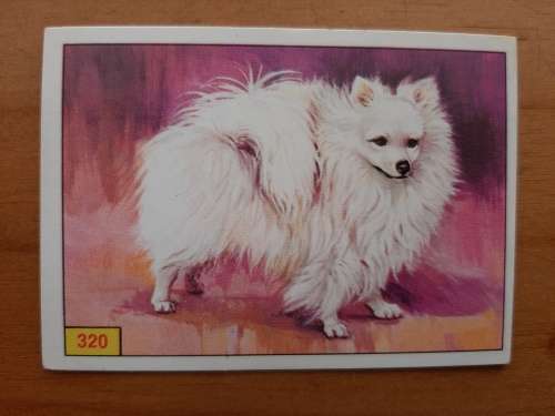 Figurine Panini Mammals Sticker #320 (1978)