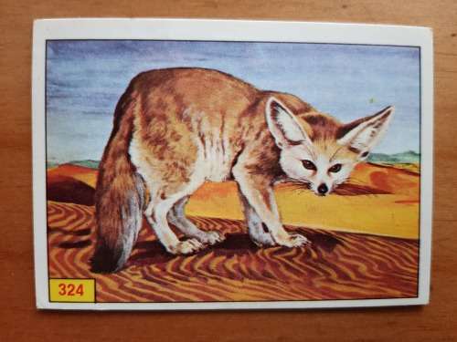 Figurine Panini Mammals Sticker #324 (1978)