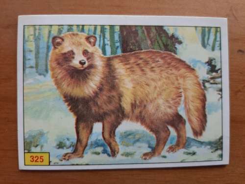 Figurine Panini Mammals Sticker #325 (1978)