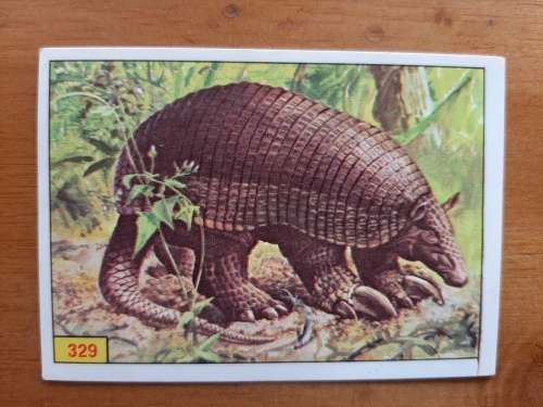 Figurine Panini Mammals Sticker #329 (1978)