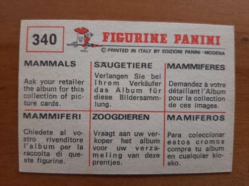 Figurine Panini Mammals Sticker #340 (1978)