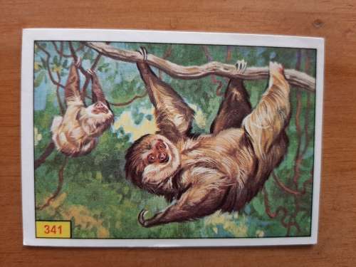 Figurine Panini Mammals Sticker #341 (1978)