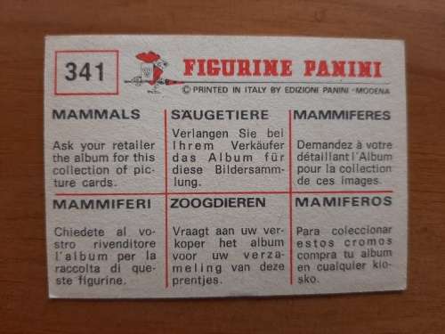 Figurine Panini Mammals Sticker #341 (1978)