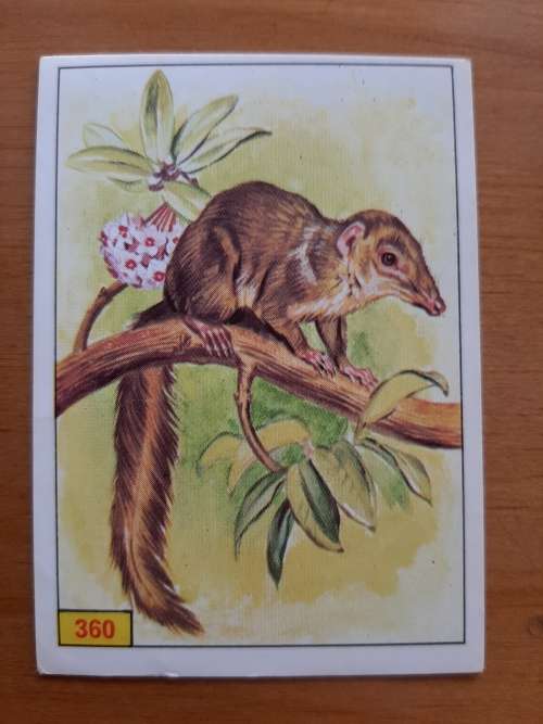 Figurine Panini Mammals Sticker #360 (1978)
