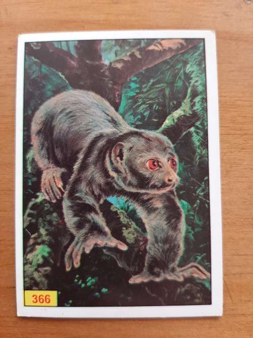 Figurine Panini Mammals Sticker #366 (1978)