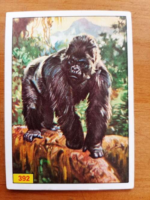 Figurine Panini Mammals Sticker #392 (1978)