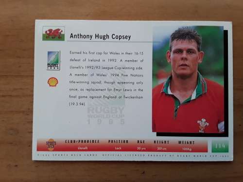 Sports Deck 1995 Rugby World Cup Collectors Cards: No 114 - Anthony Copsey (Wales)