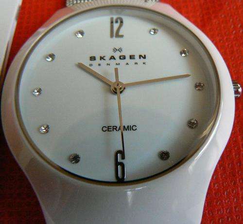 SKAGEN ***LADIES CERAMIC AND STAINLESS STEEL MESH WATCH***