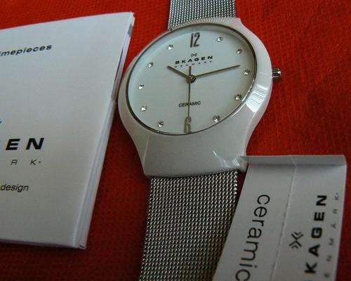 SKAGEN ***LADIES CERAMIC AND STAINLESS STEEL MESH WATCH***