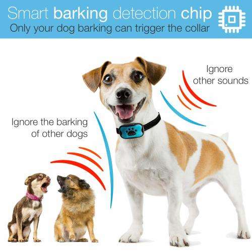 Anti bark training collar - Vibration with 7 settings