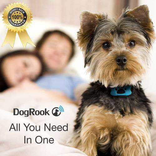 Anti bark training collar - Vibration with 7 settings