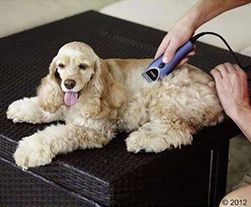 Oster Pet Clipper set - Home grooming kit for dogs