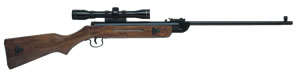 Pellet Gun b2