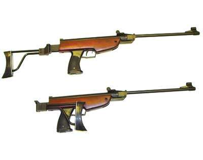 Pellet Gun b 7