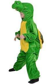 turtle costume