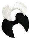 Angel wings in black and white
