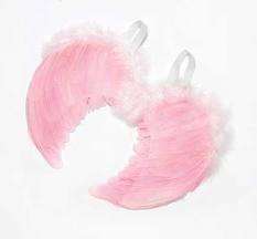 Pink feathers angel wings