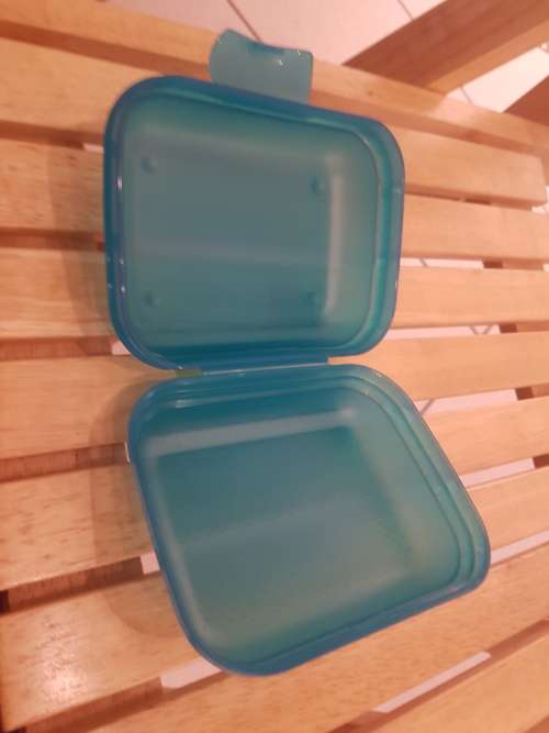 Tupperware Oyster
