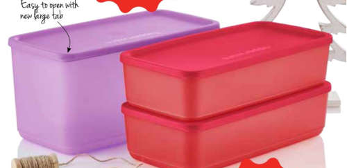 Tupperware Cubix Rectangular 4 (Purple)
