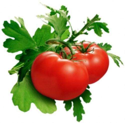 GUIDE TO GROWING YOUR FAVORITE VEGETABLES  - Ebook R1 SPECIAL