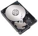 Hard Drive- 320GB Serial ATA II (SATA2) Plus