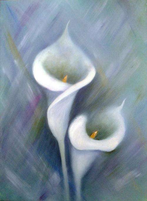Arum lily 2  -  400 x 300  OIL
