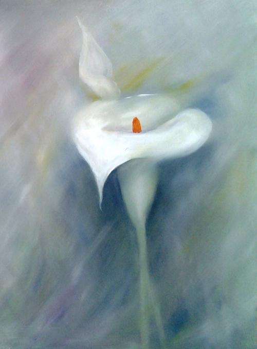 Arum lily 1  Oil  -  400mm x 300mm