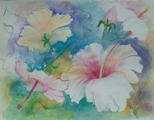 Hibiscus  -  watercolour