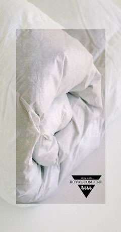 Duvet Inner Premium Hungarian Goose Down 90/10