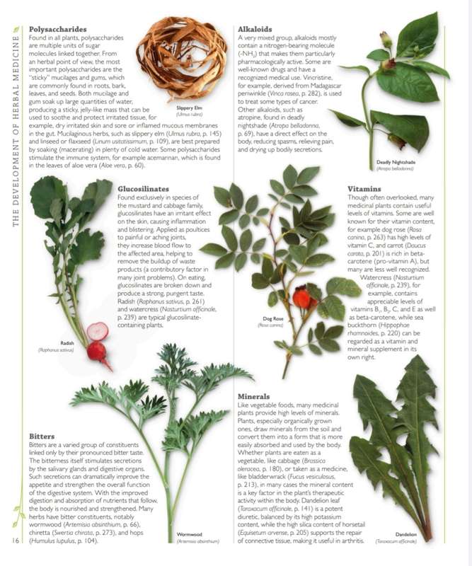 Encyclopedia for Herbal Medicine E-Book PDF