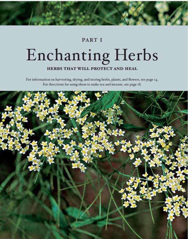 The Complete Illustrated Encyclopedia of medical Plants E-Book PDF