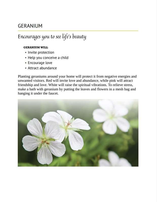 Herbal Remedies Made Simple Recipes PDF