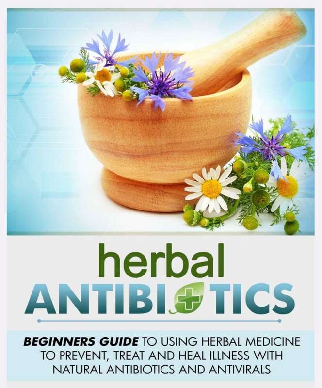 Herbal Antibiotics PDF Beginners Guide to Using Herbal Medicine
