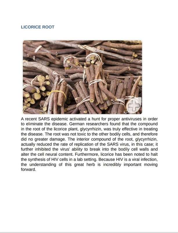 Herbal Antibiotics PDF Beginners Guide to Using Herbal Medicine