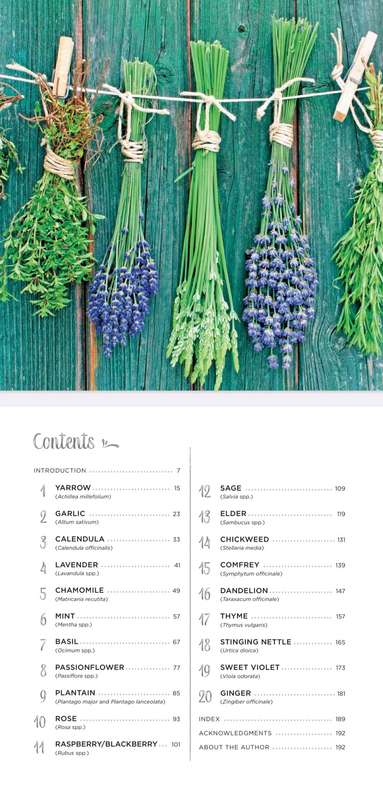 Healing Herbs EBook PDF