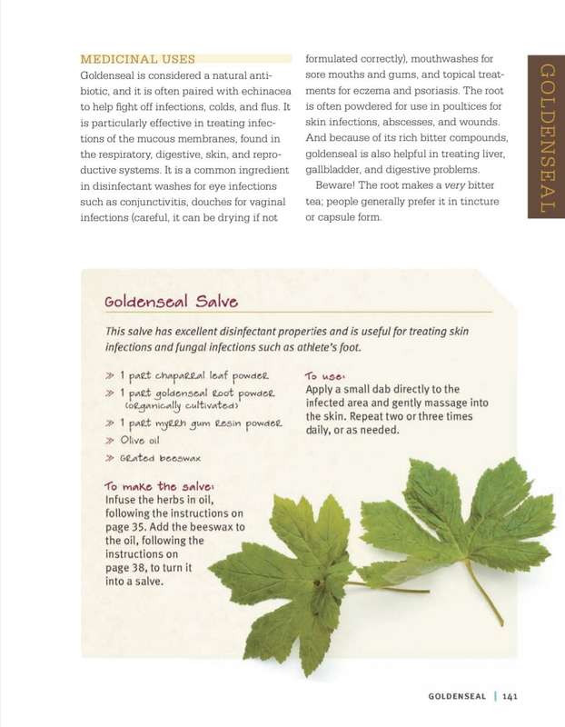 Medicinal Herbs Beginners Guide EBook PDF