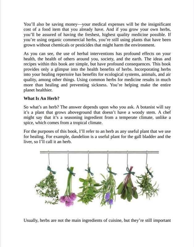 How to benefit from Everyday Herbs Ebook PDF