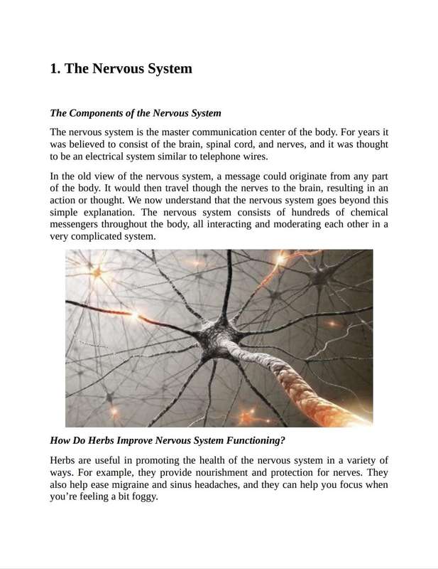 How to benefit from Everyday Herbs Ebook PDF