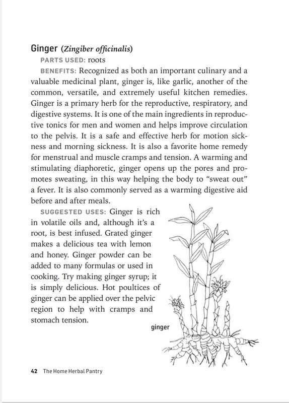 Herbs for Common Ailments PDF