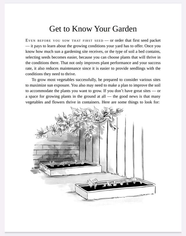 Starting Seeds Ebook PDF