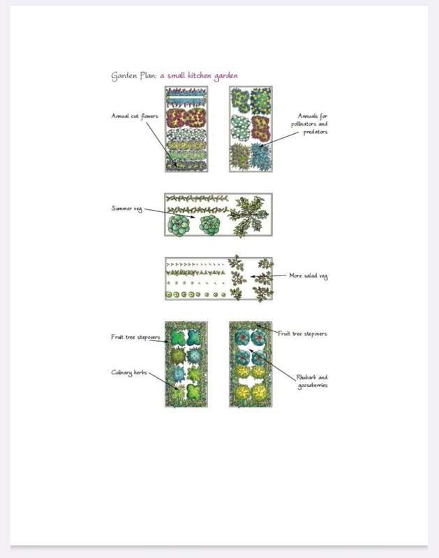 Planting Plans for your Kitchen Garden EBook PDF