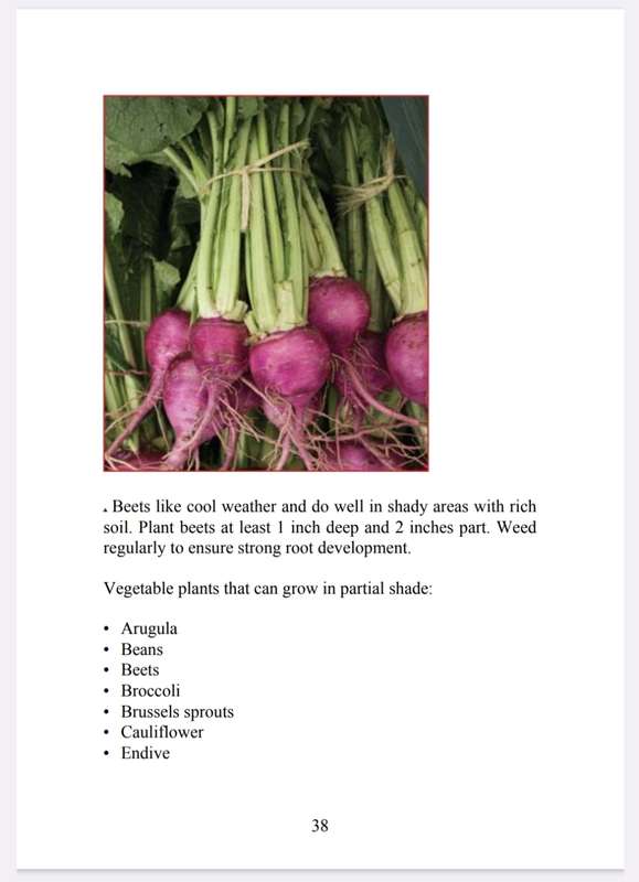 Homesteading Second Edition Revised EbookPDF