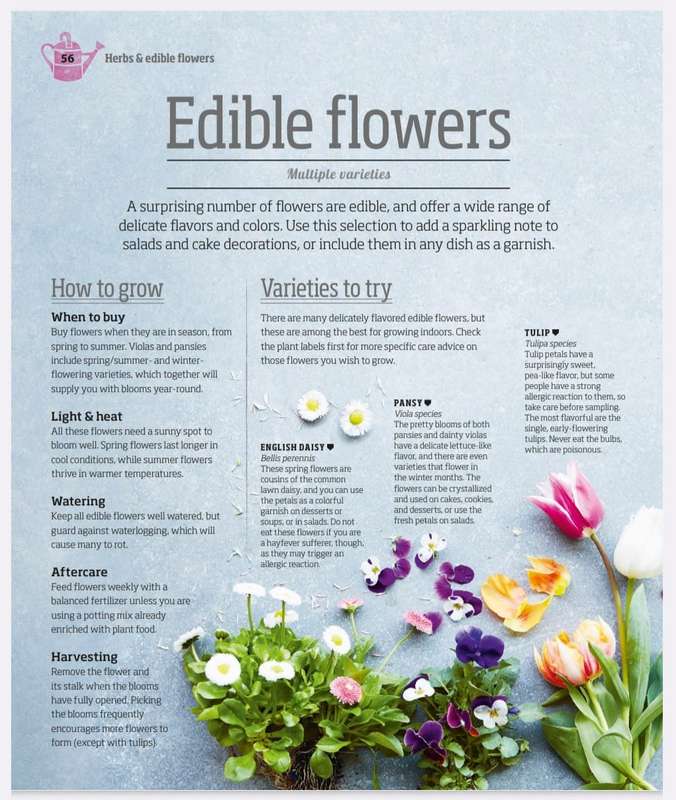 Indore Edible Garden EBook PDF