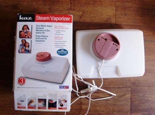 Steam Vaporizer