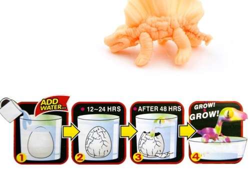 Hatching Dinosaur Eggs Growing Dino Eggs Add Water Magic Inflatable Toy