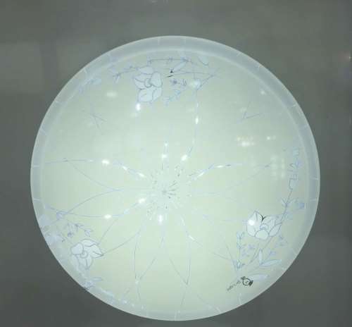 16W LED Ceiling Light